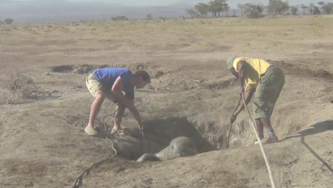 VideoExtra, Elefant, Kenya